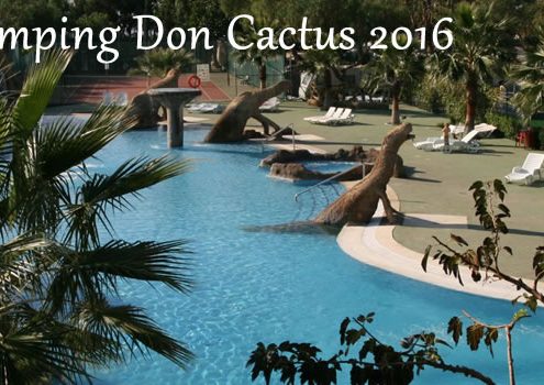 Convivencia Camping Don Cactus 2016