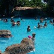 Campamento de Verano 2017