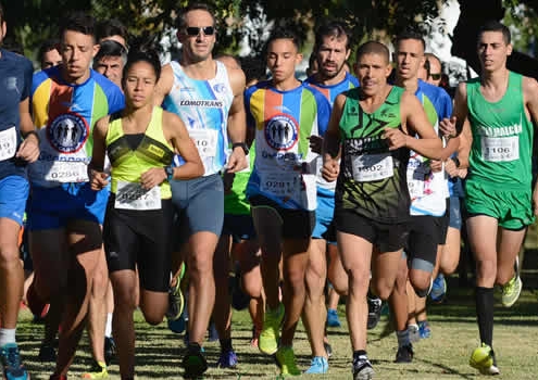 Cross Divina Pastora 2018