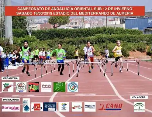 Cto andalucía oriental sub'12