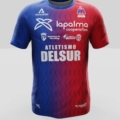 Camiseta Entrenamiento