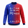 DS Sudadera